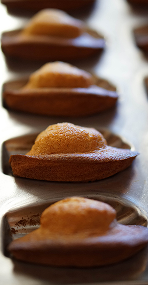 Madeleine